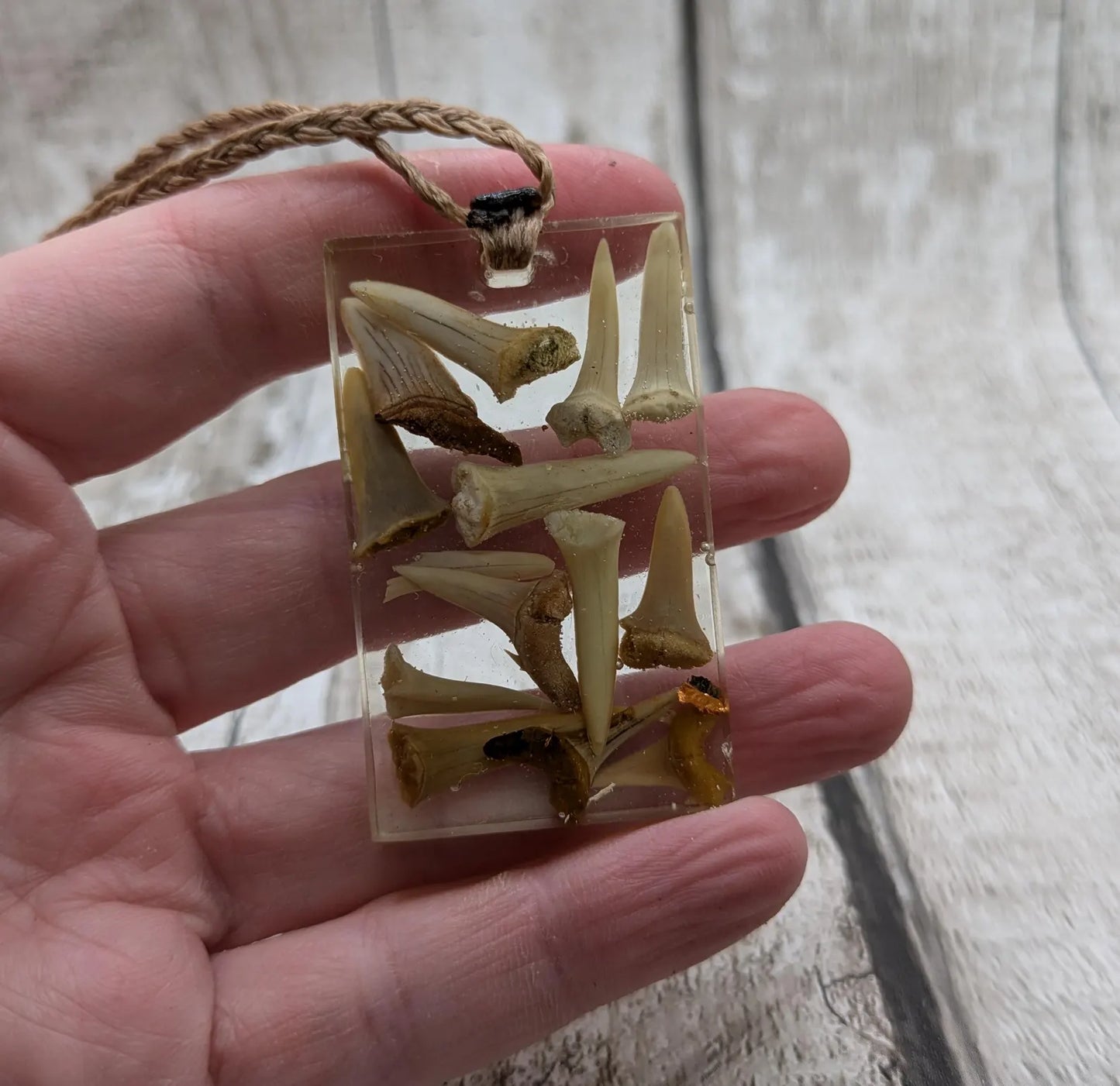 Fossilised sharks tooth in resin Christmas decoration.