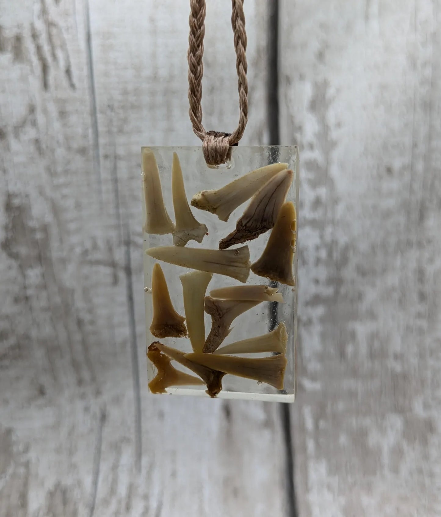 Fossilised sharks tooth in resin Christmas decoration.