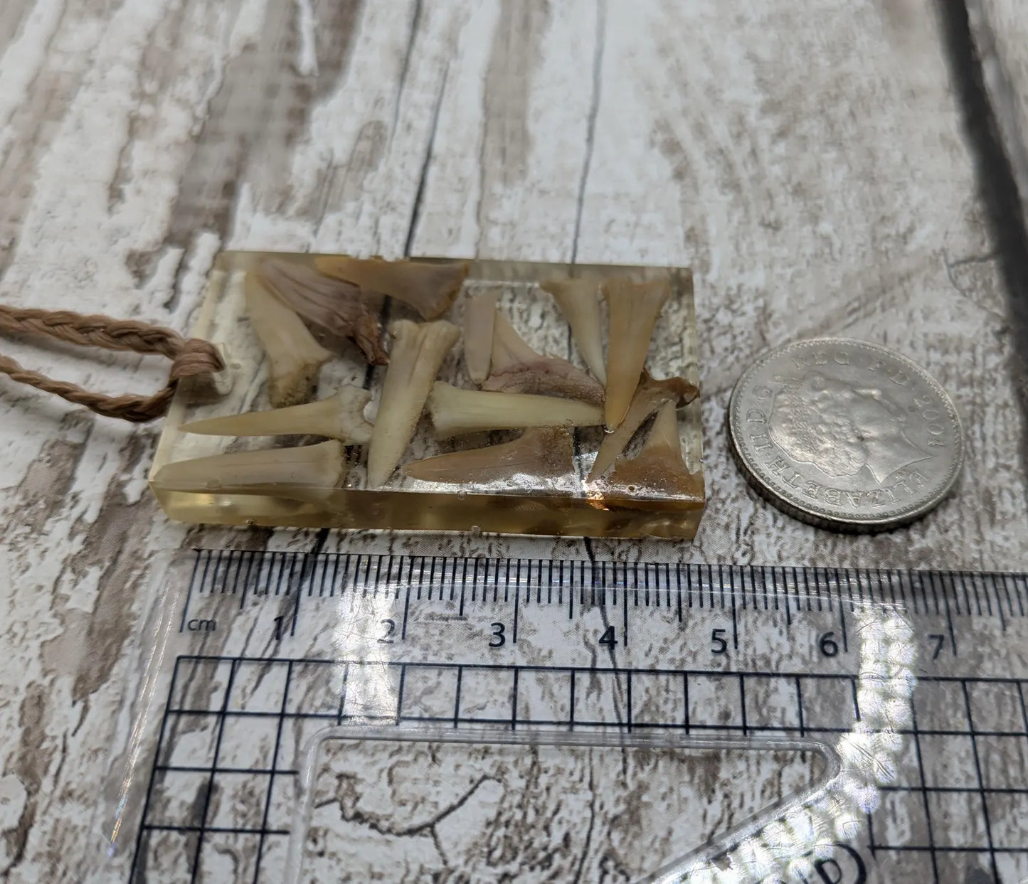 Fossilised sharks tooth in resin Christmas decoration.