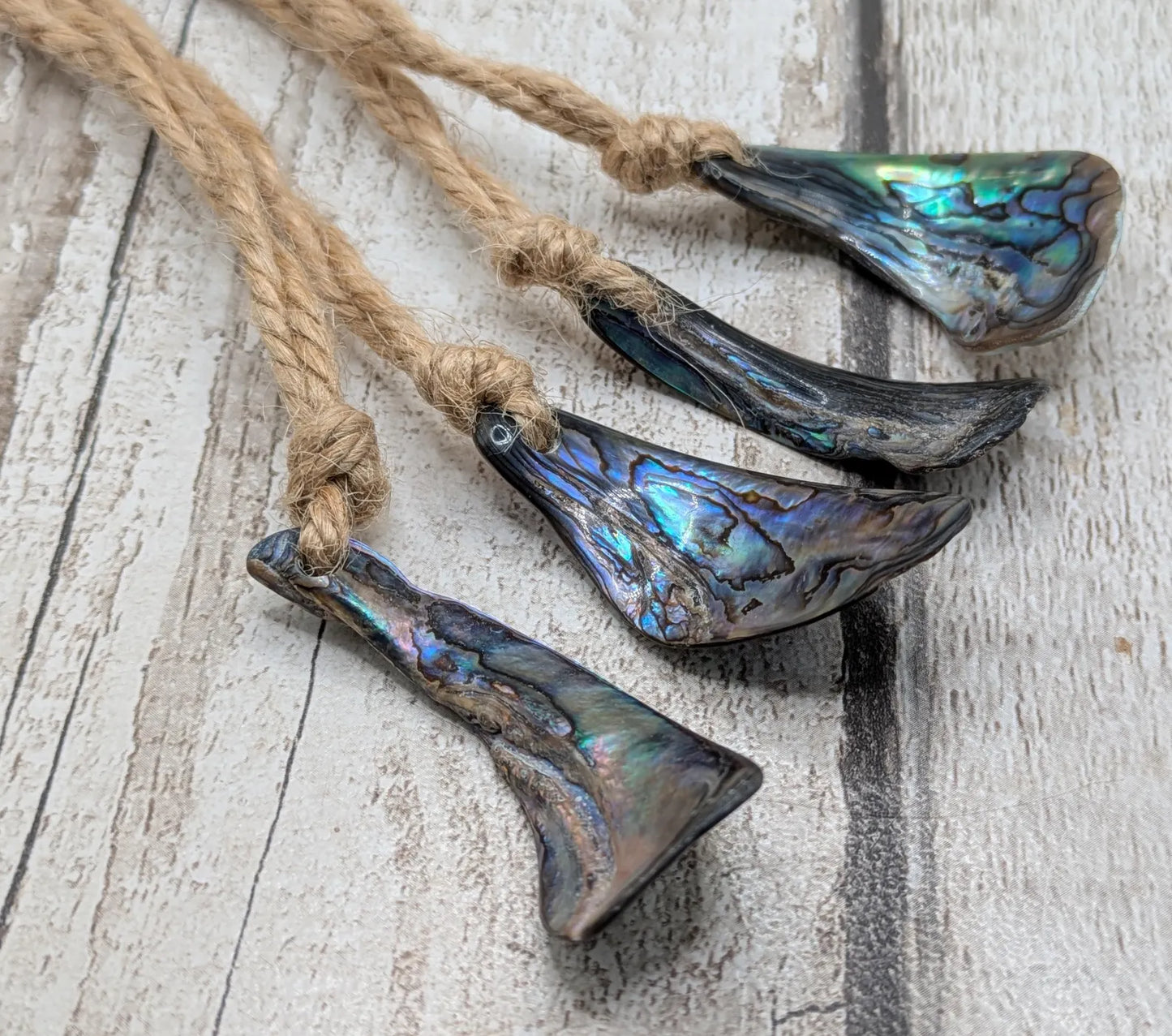 Set of Four Wild New Zealand wild Pāua Shell Ornaments – Natural Beach combed Abalone Decorations on Jute Cord for Yule for Christmas trees.