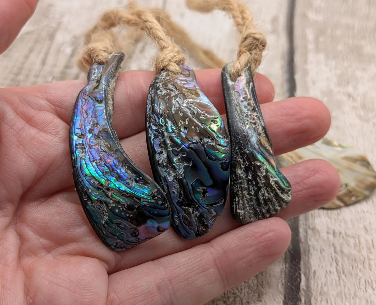 Set of Four Wild New Zealand wild Pāua Shell Ornaments – Natural Beach combed Abalone Decorations on Jute Cord for Yule for Christmas trees.