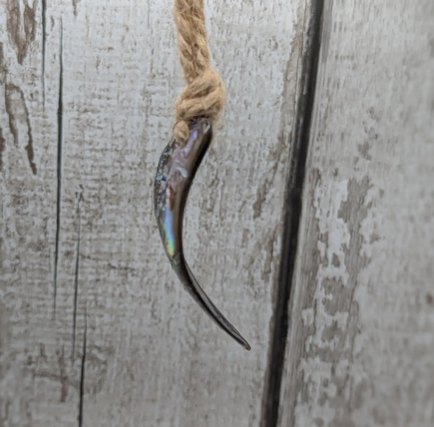 Set of Four Wild New Zealand wild Pāua Shell Ornaments – Natural Beach combed Abalone Decorations on Jute Cord for Yule for Christmas trees.