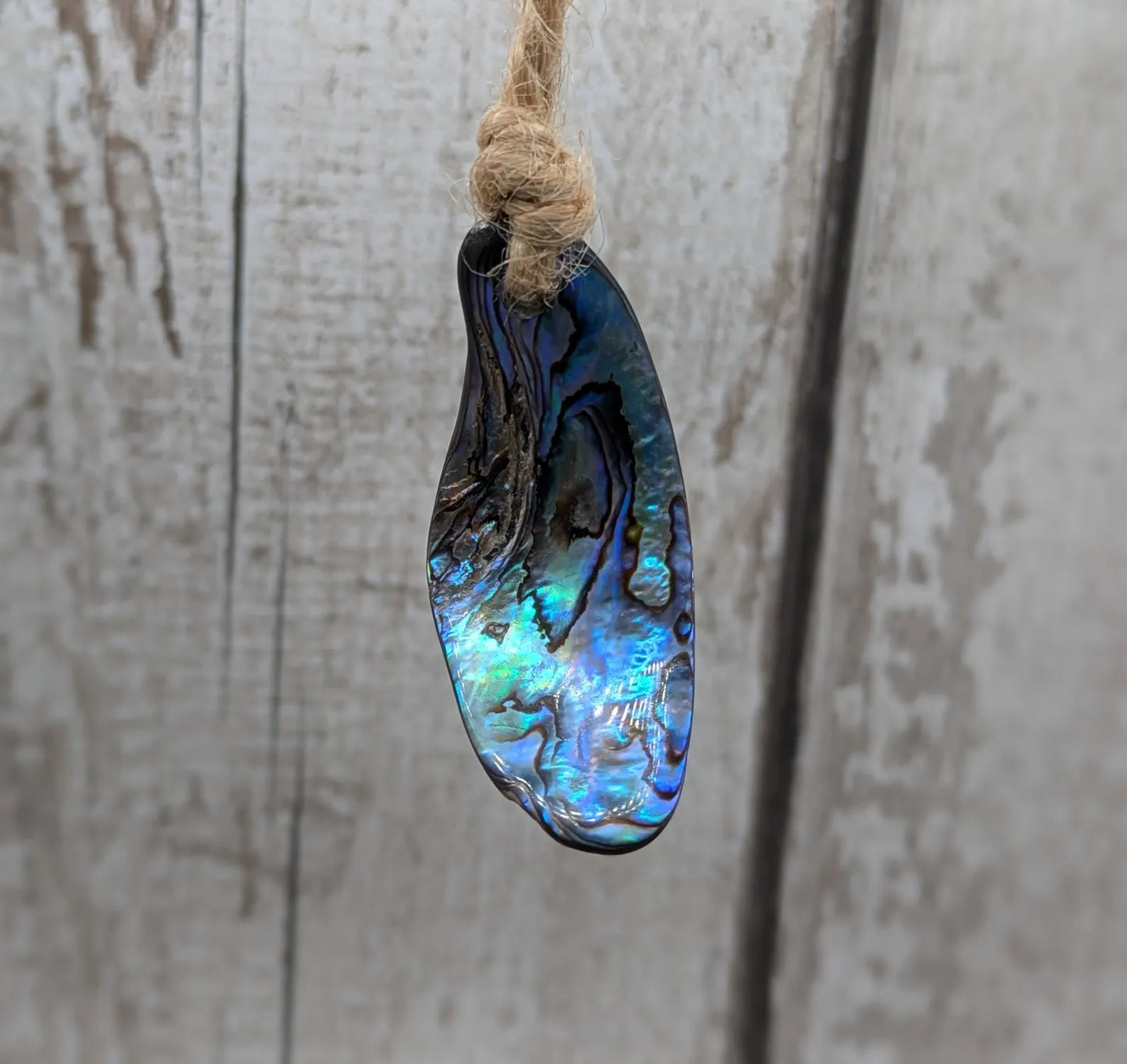 Set of Four Wild New Zealand wild Pāua Shell Ornaments – Natural Beach combed Abalone Decorations on Jute Cord for Yule for Christmas trees.