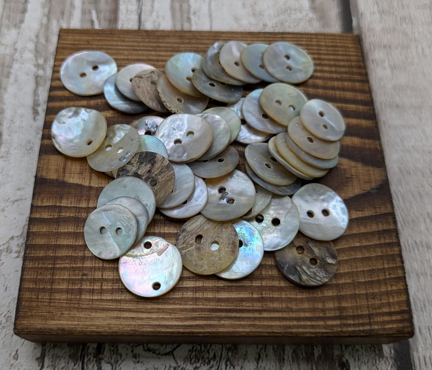 Medium abalone shell buttons.