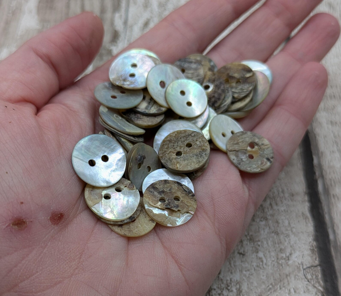 Medium abalone shell buttons.