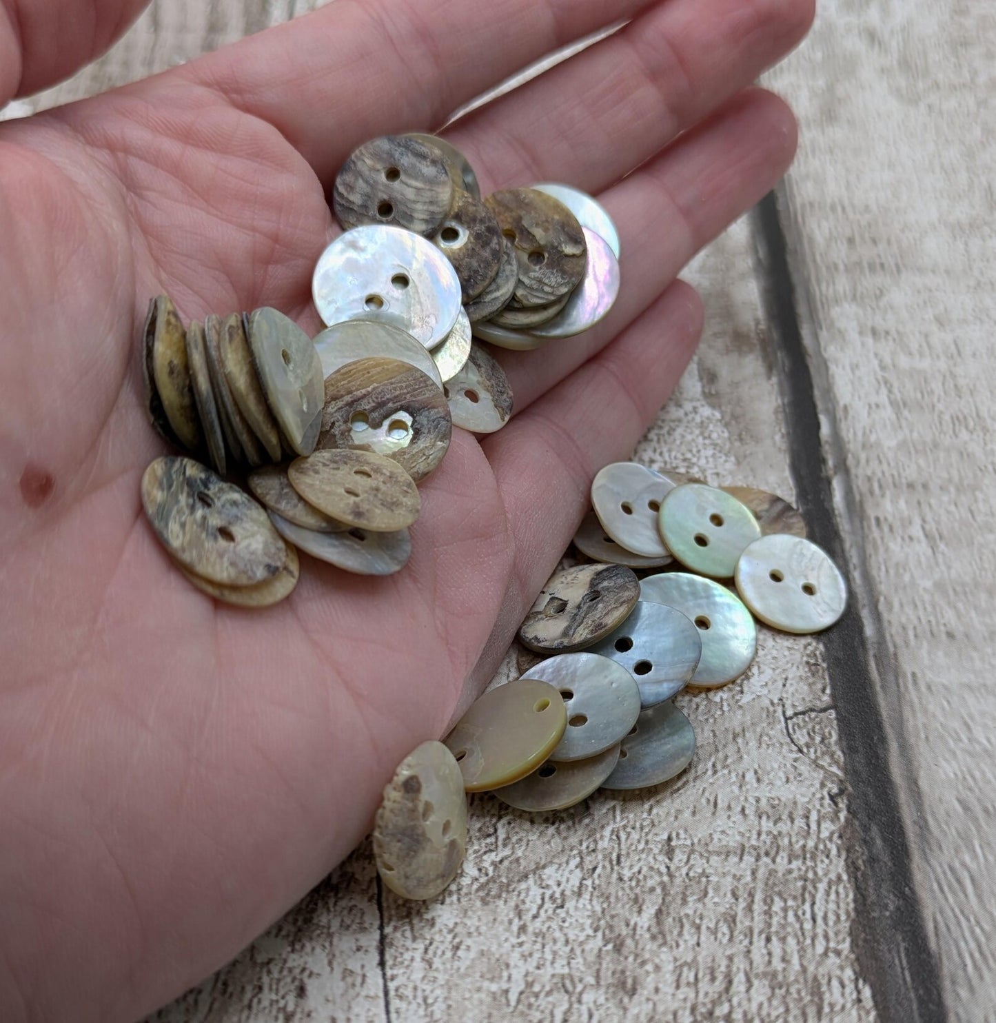 Medium abalone shell buttons.