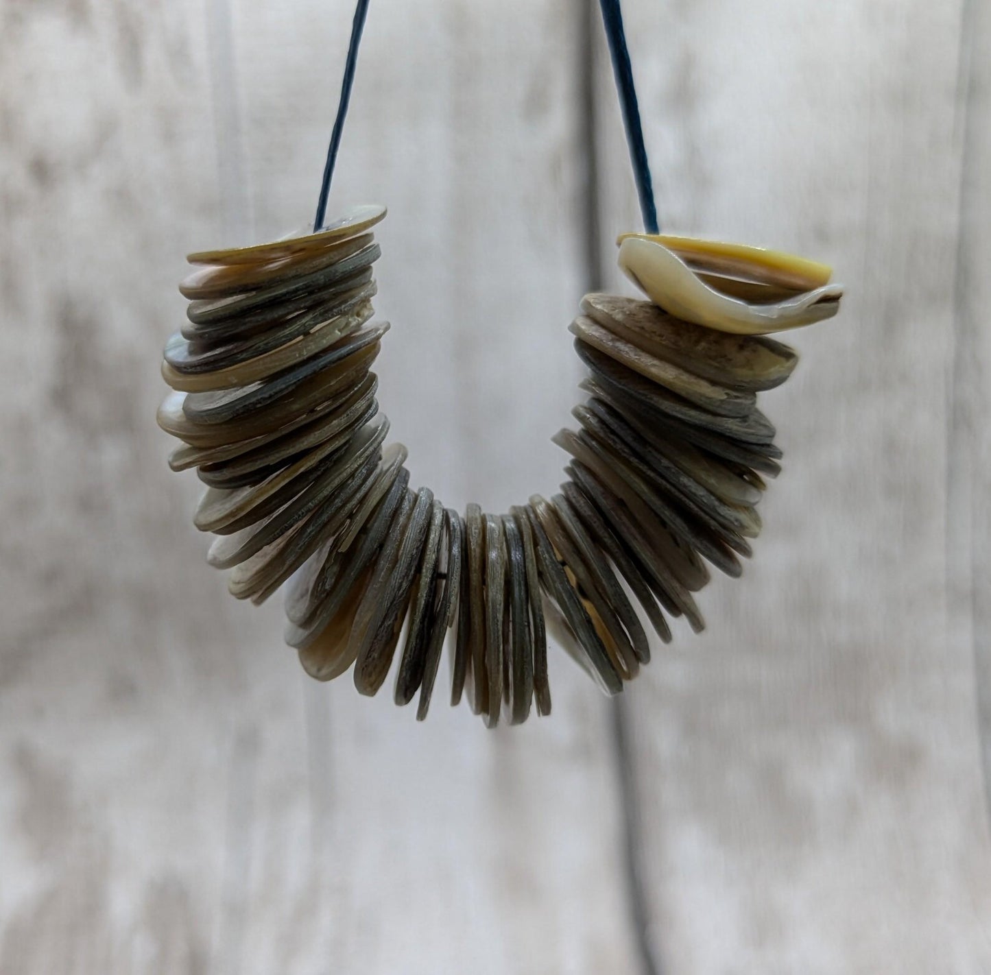 Medium abalone shell buttons.