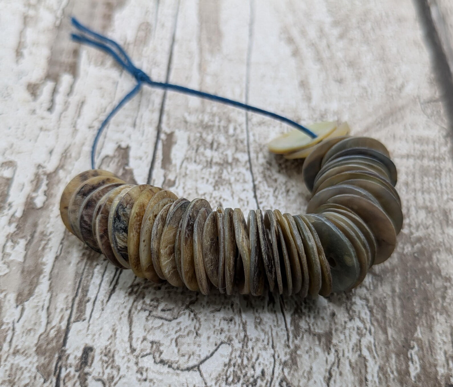 Medium abalone shell buttons.