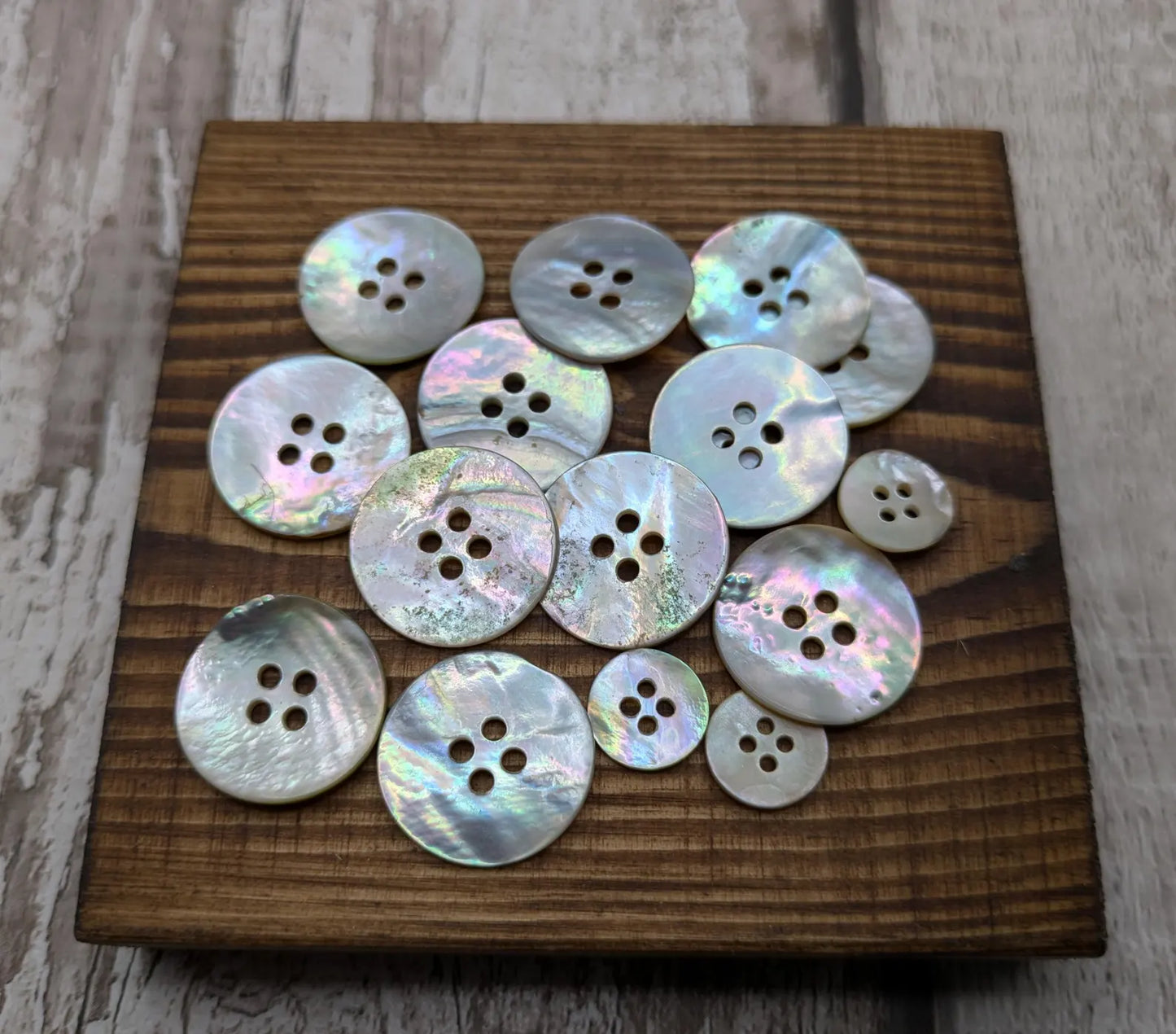 Large abalone shell buttons.