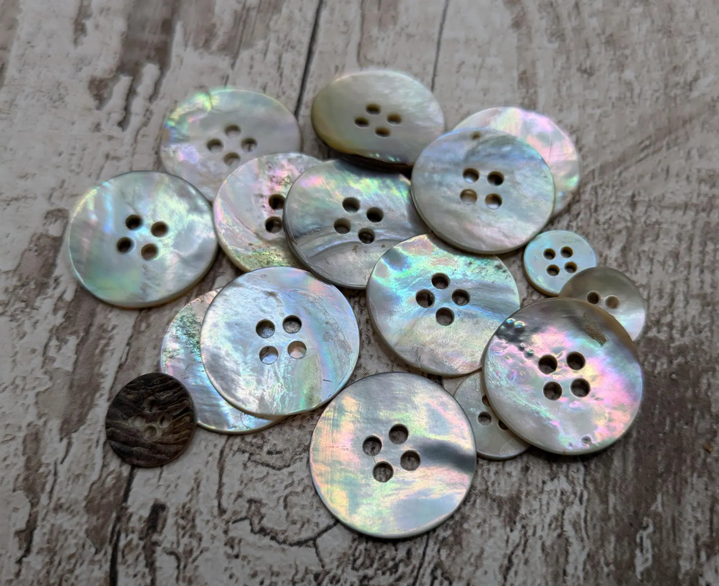 Large abalone shell buttons.