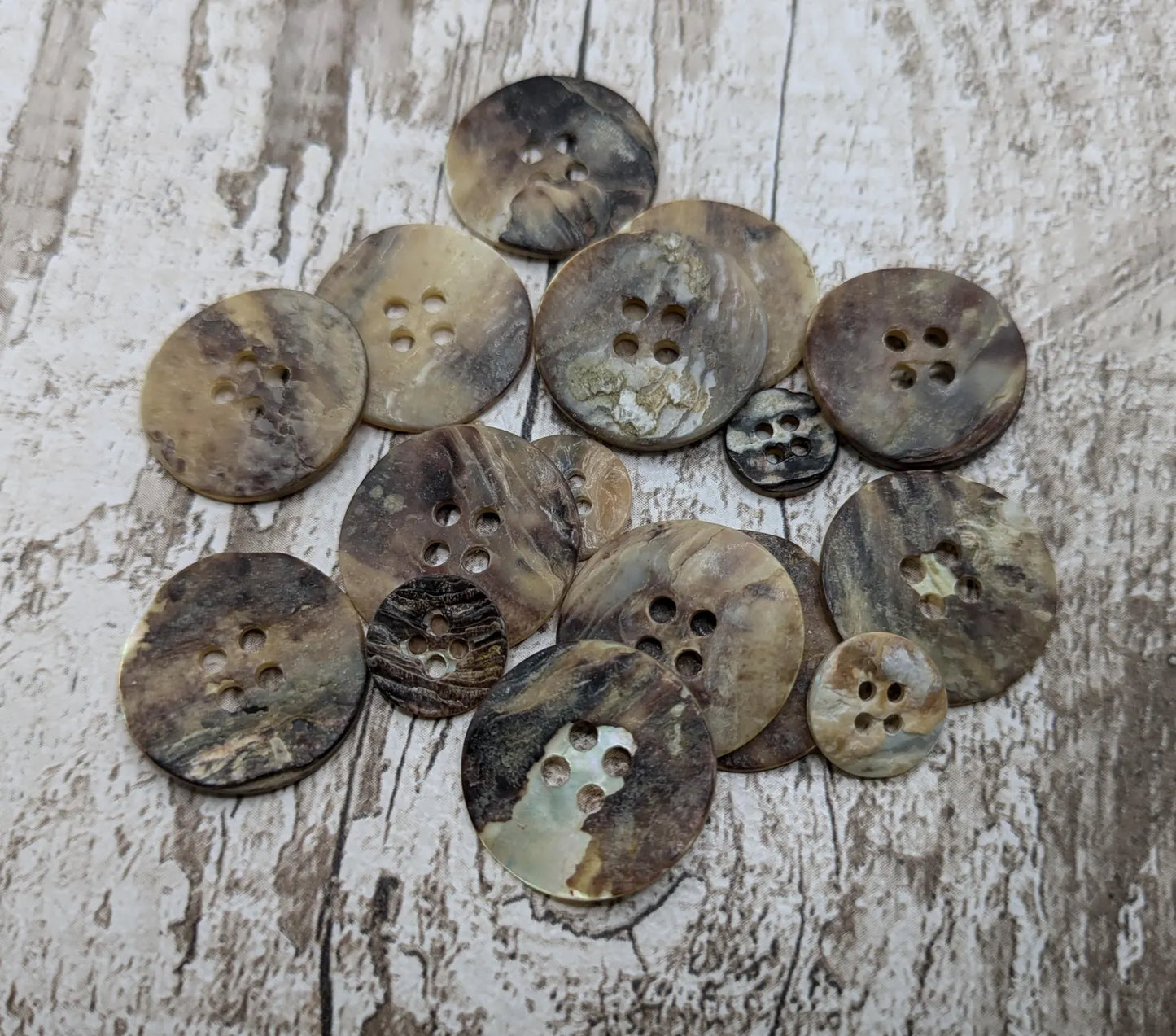 Large abalone shell buttons.