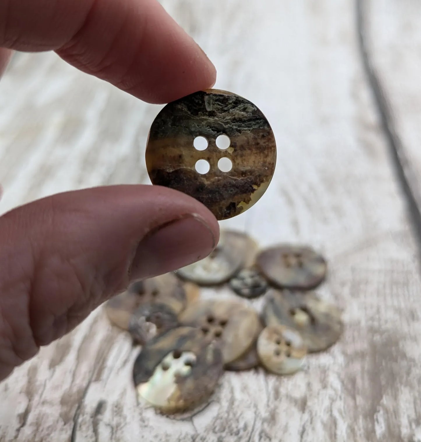 Large abalone shell buttons.