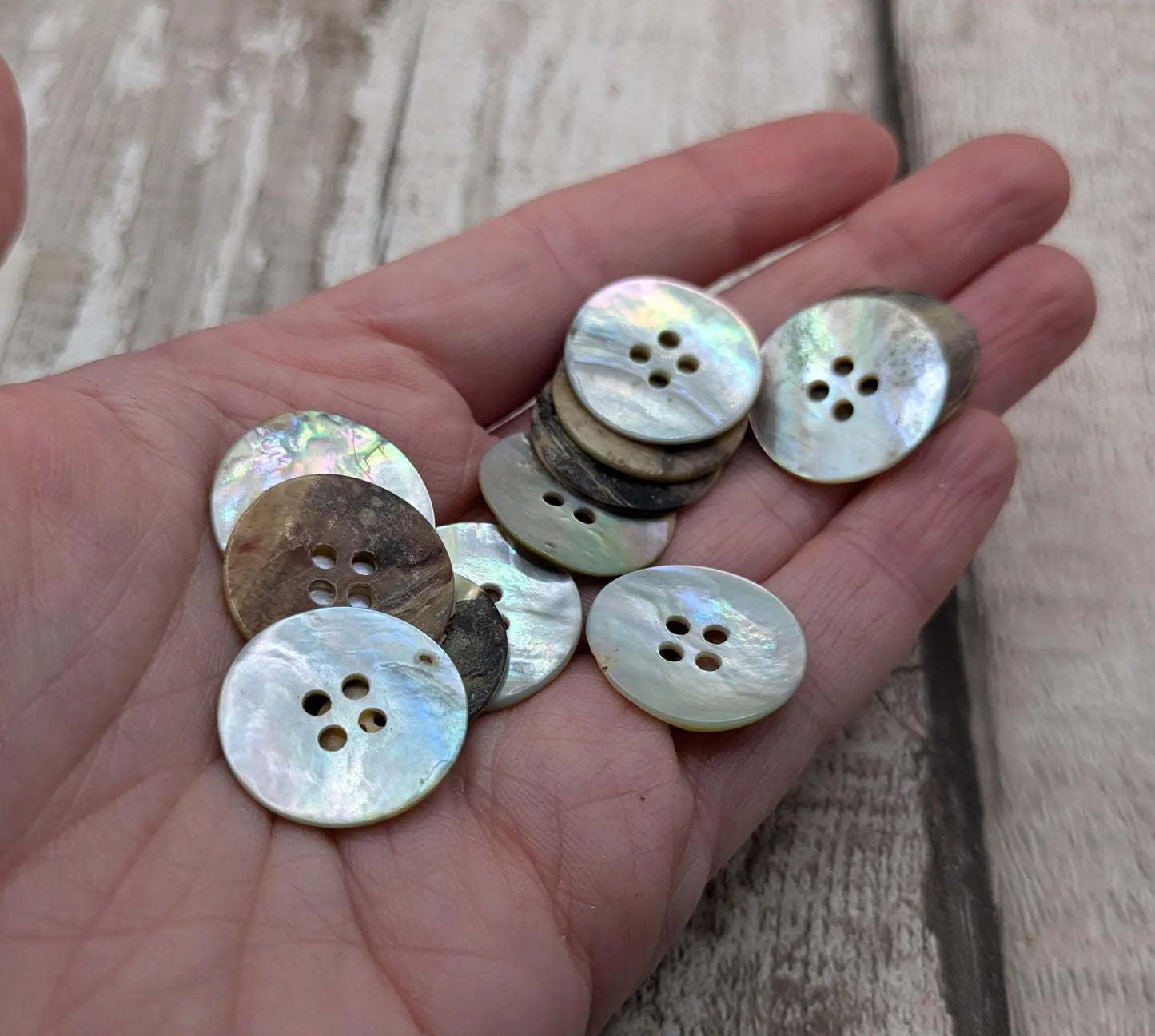 Large abalone shell buttons.