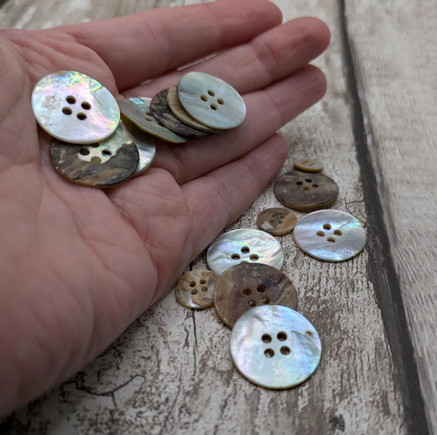 Large abalone shell buttons.
