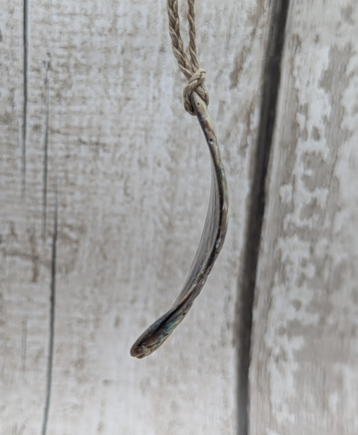 new Zealand Rainbow Pāua naturally tumbled shell pendant