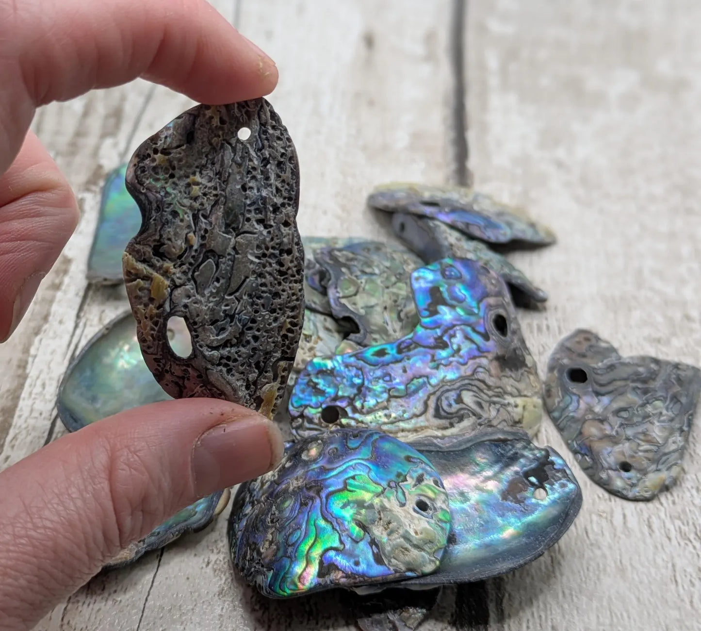 15 naturally tumbled New Zealand rainbow Pāua shell beads.