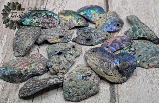 15 naturally tumbled New Zealand rainbow Pāua shell beads.