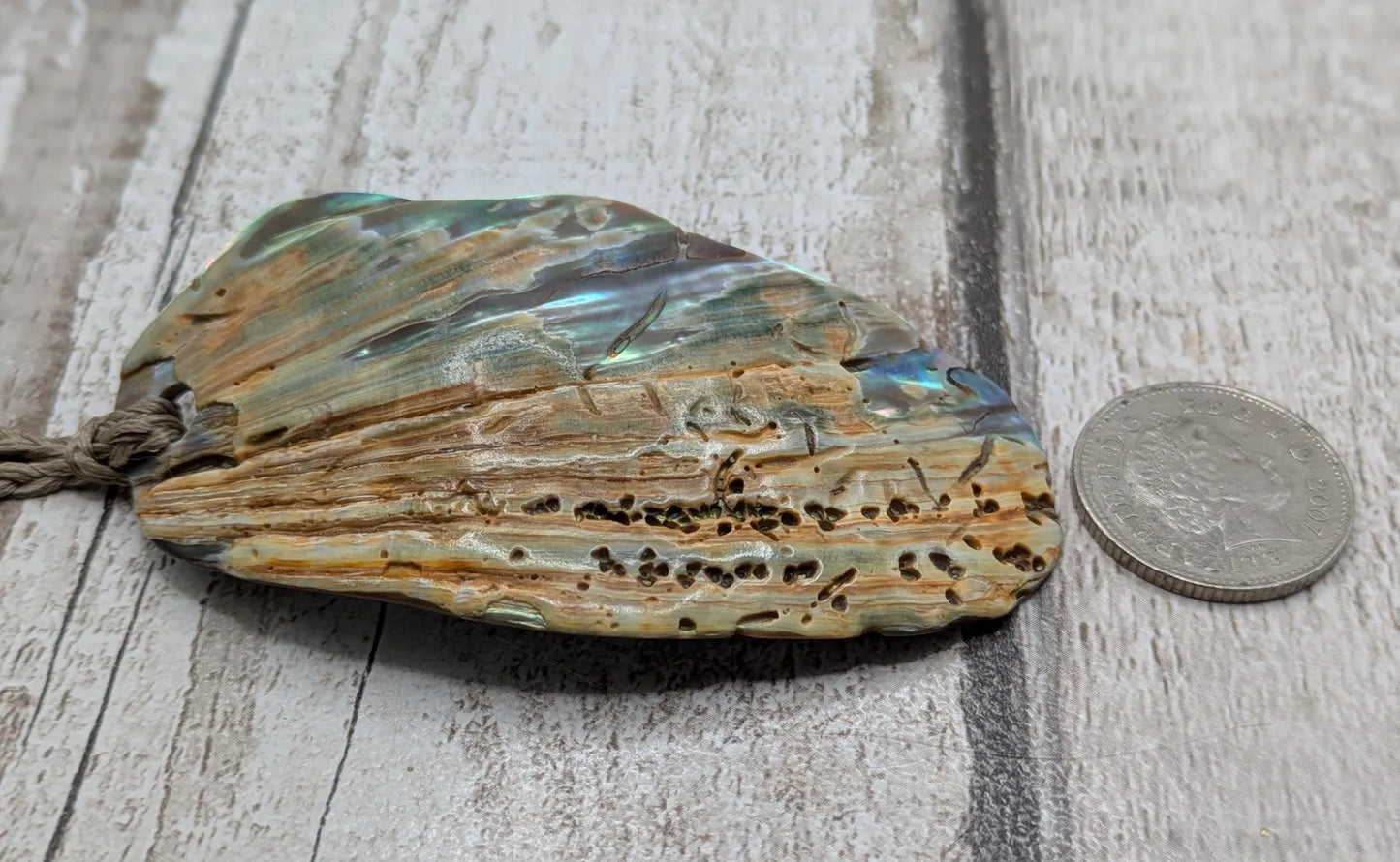 Large Freeform NZ Pāua Shell Pendant – Iridescent Abalone Statement Necklace, Natural statement Beach Jewellery.