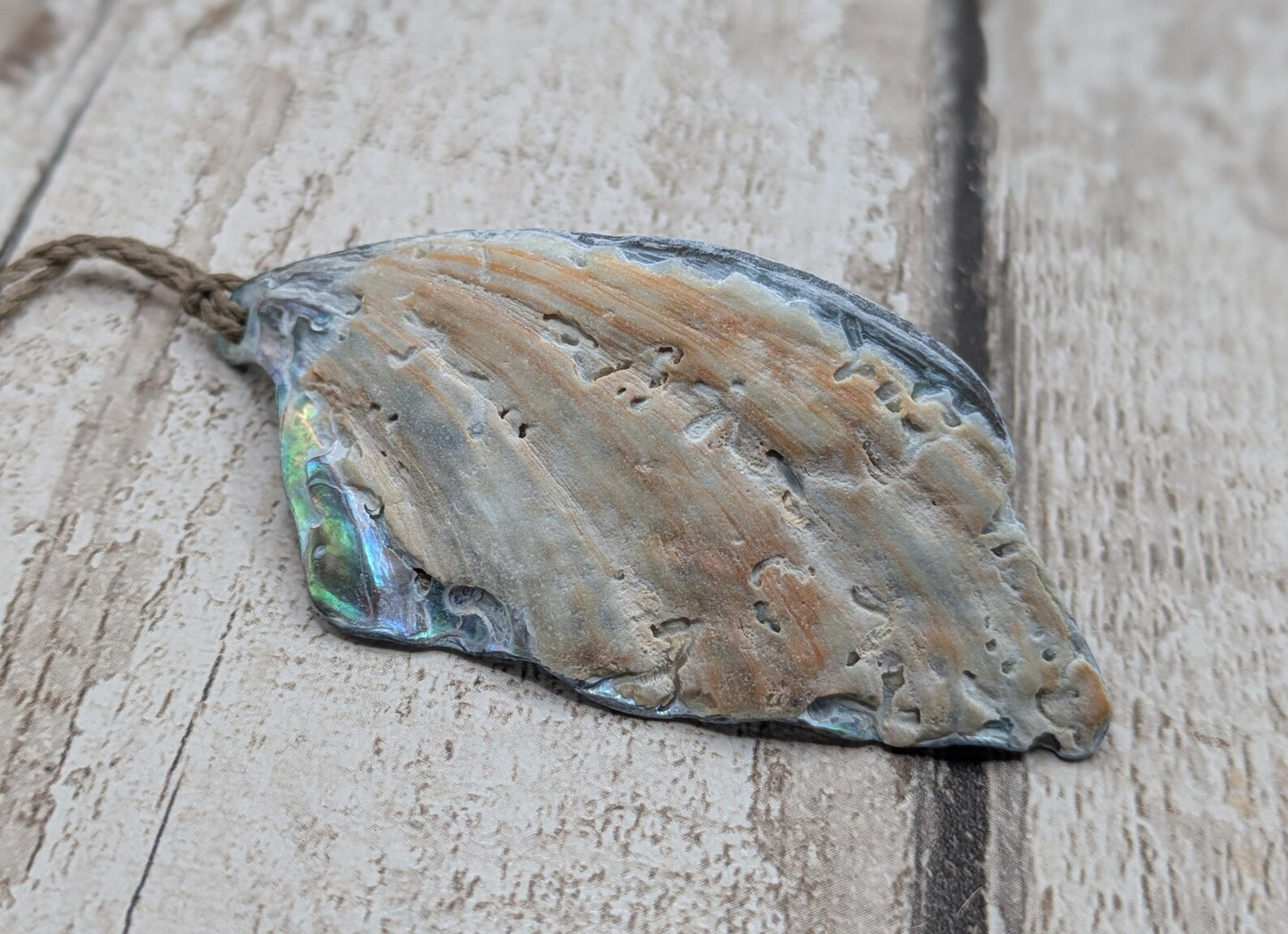 Large Freeform NZ Pāua Shell Pendant – Iridescent Abalone Statement Necklace, Natural statement Beach Jewellery.