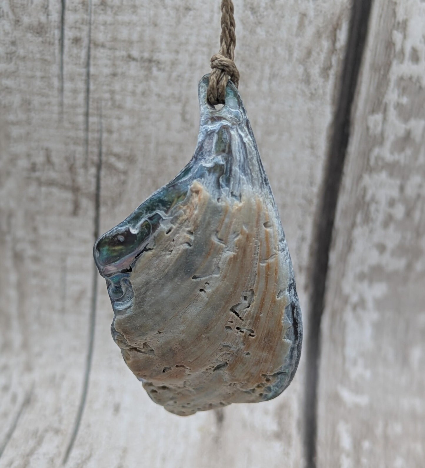 Large Freeform NZ Pāua Shell Pendant – Iridescent Abalone Statement Necklace, Natural statement Beach Jewellery.