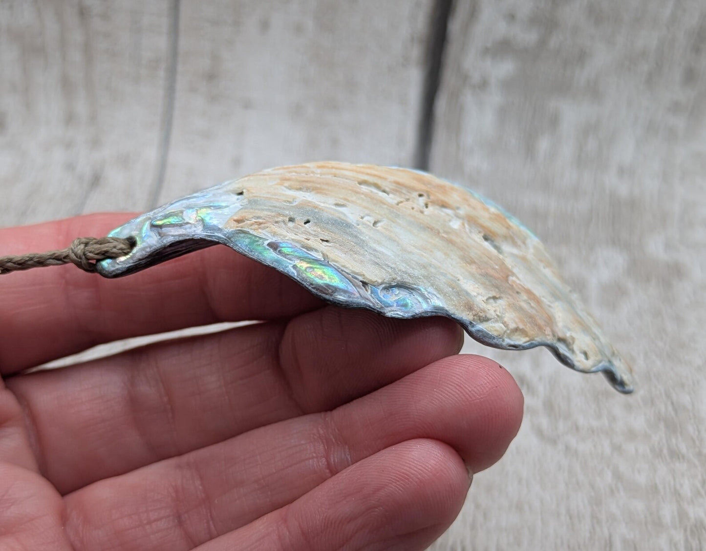 Large Freeform NZ Pāua Shell Pendant – Iridescent Abalone Statement Necklace, Natural statement Beach Jewellery.