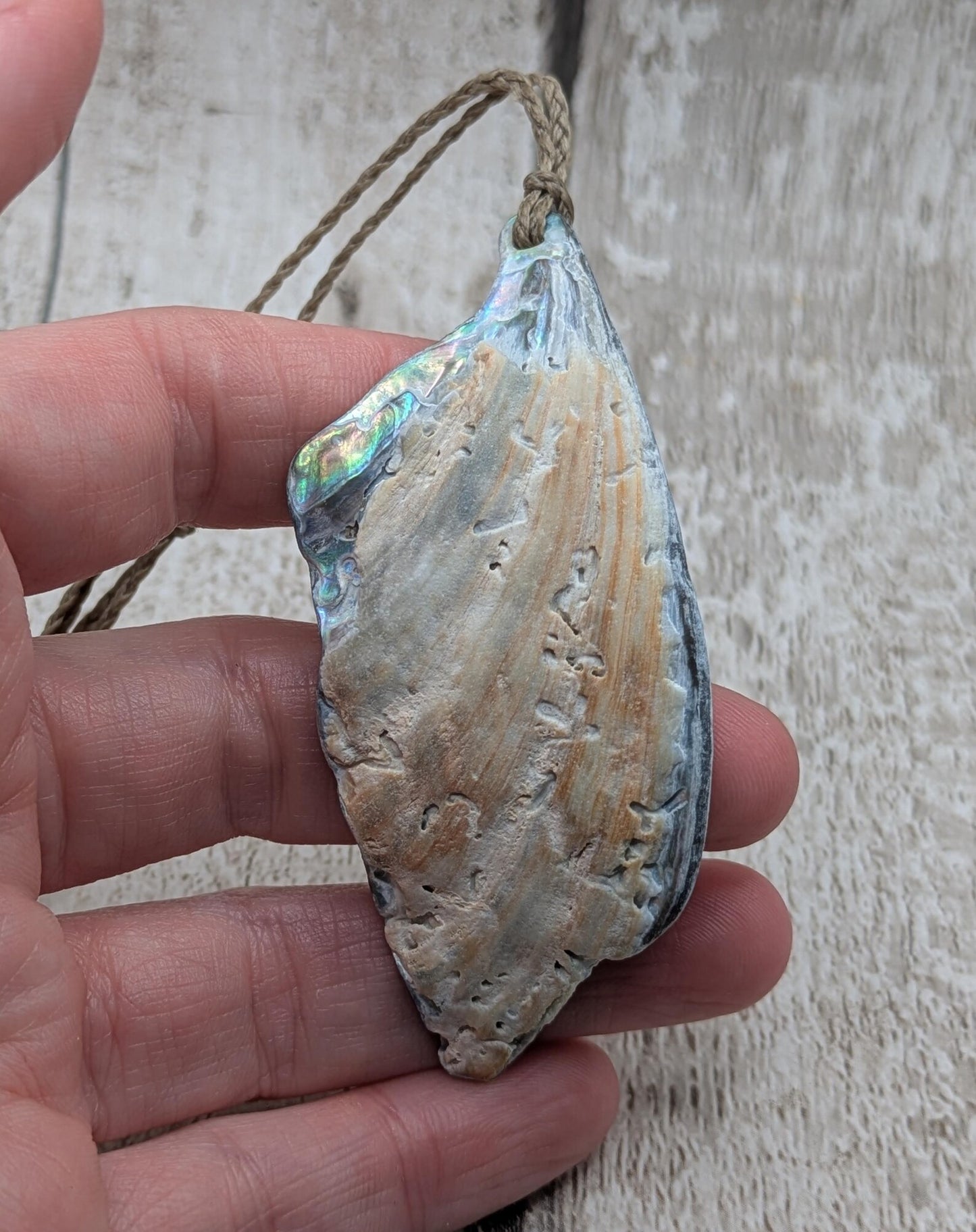 Large Freeform NZ Pāua Shell Pendant – Iridescent Abalone Statement Necklace, Natural statement Beach Jewellery.
