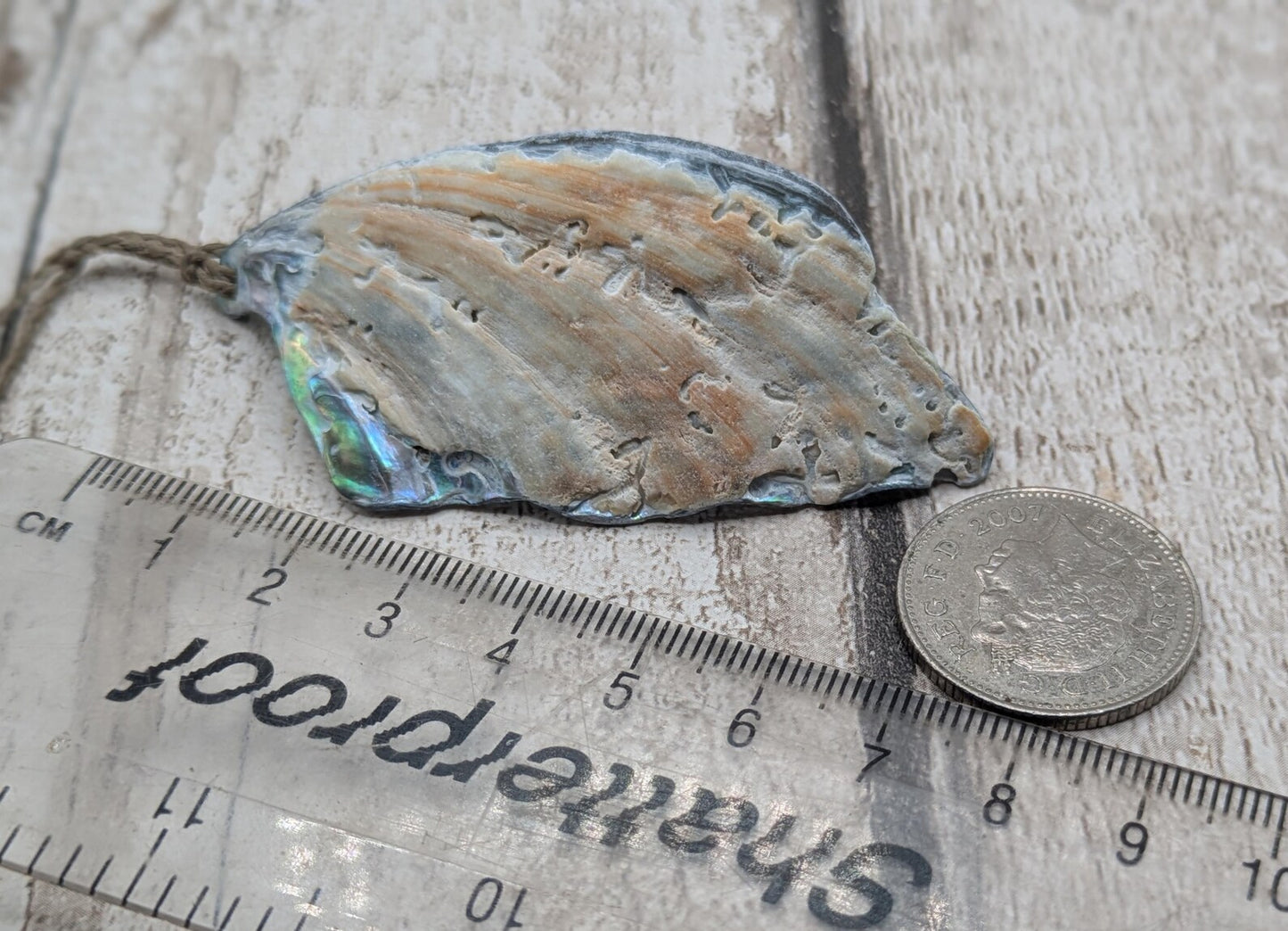 Large Freeform NZ Pāua Shell Pendant – Iridescent Abalone Statement Necklace, Natural statement Beach Jewellery.