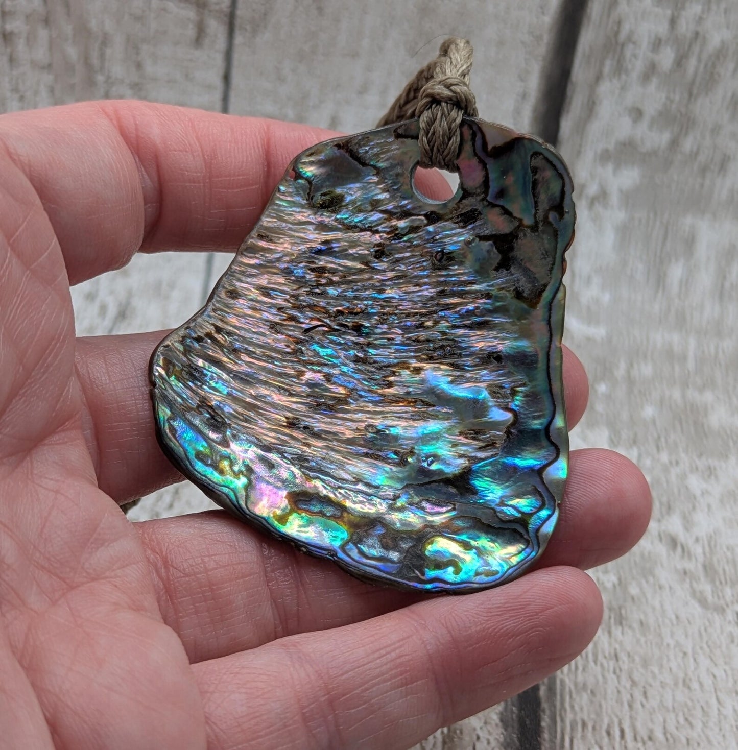 Large Freeform NZ Pāua Shell Pendant – Iridescent Abalone Statement Necklace, Natural statement Beach Jewellery.