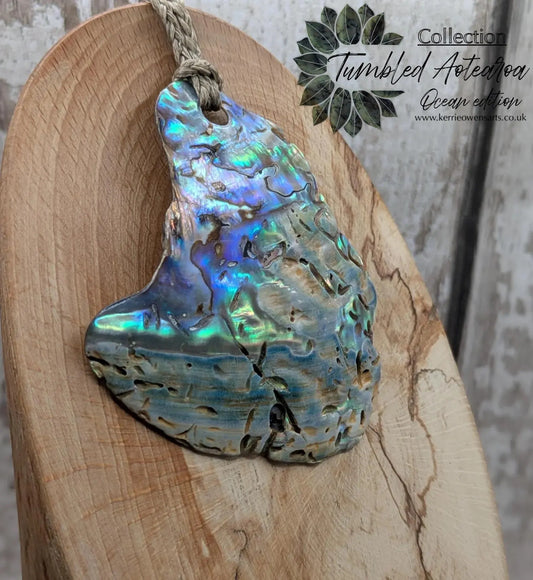 Large Freeform NZ Pāua Shell Pendant – Iridescent Abalone Statement Necklace, Natural statement Beach Jewellery.
