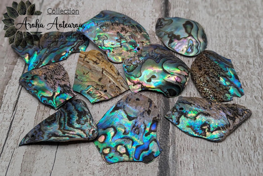 10 Broken new Zealand Rainbow pāua shell beads