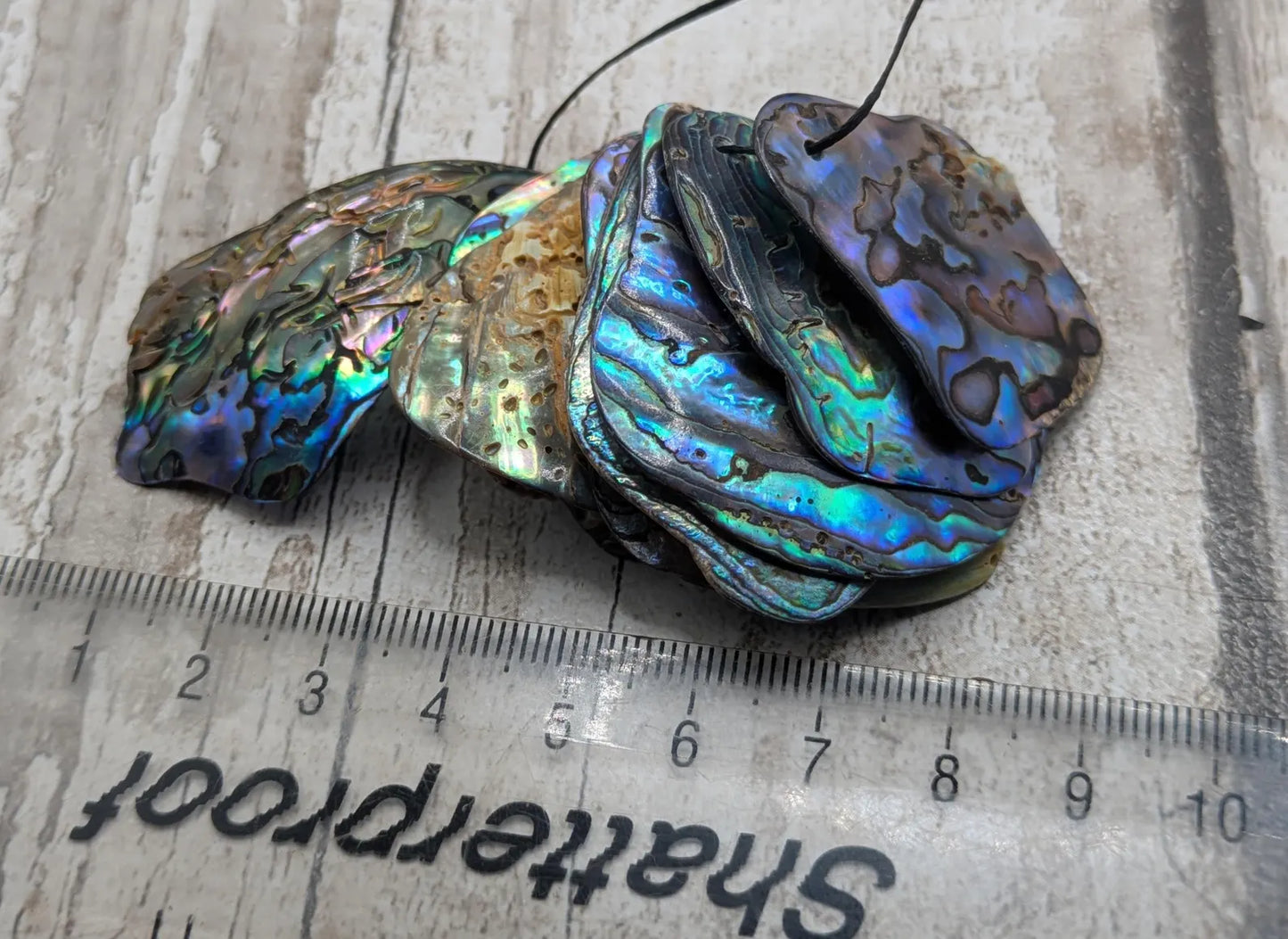 10 Rainbow NZ Pāua Shell Beads – Top-Drilled Natural Abalone for Jewelry Making & Art Projects.