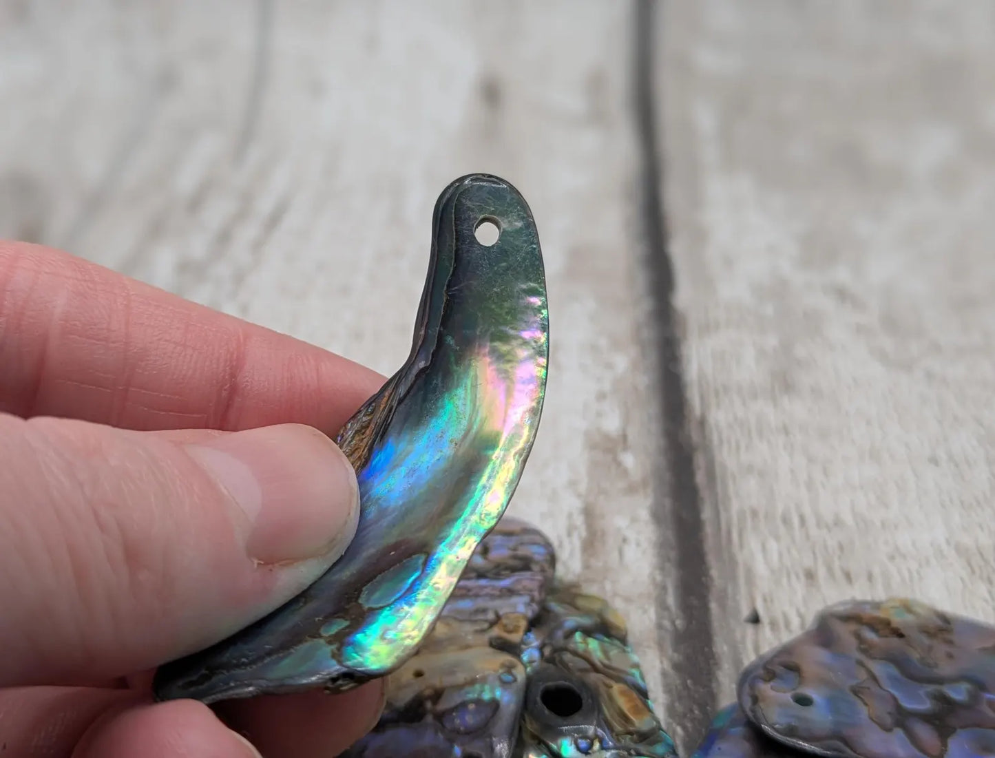 10 Rainbow NZ Pāua Shell Beads – Top-Drilled Natural Abalone for Jewelry Making & Art Projects.
