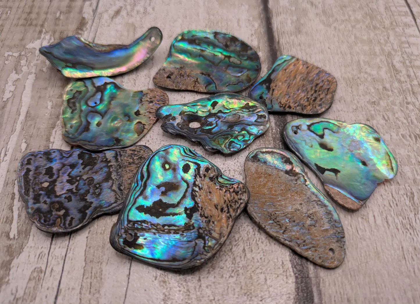 10 Rainbow NZ Pāua Shell Beads – Top-Drilled Natural Abalone for Jewelry Making & Art Projects.
