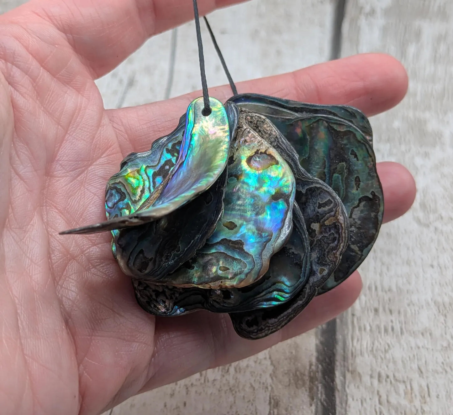 10 Rainbow NZ Pāua Shell Beads – Top-Drilled Natural Abalone for Jewelry Making & Art Projects.