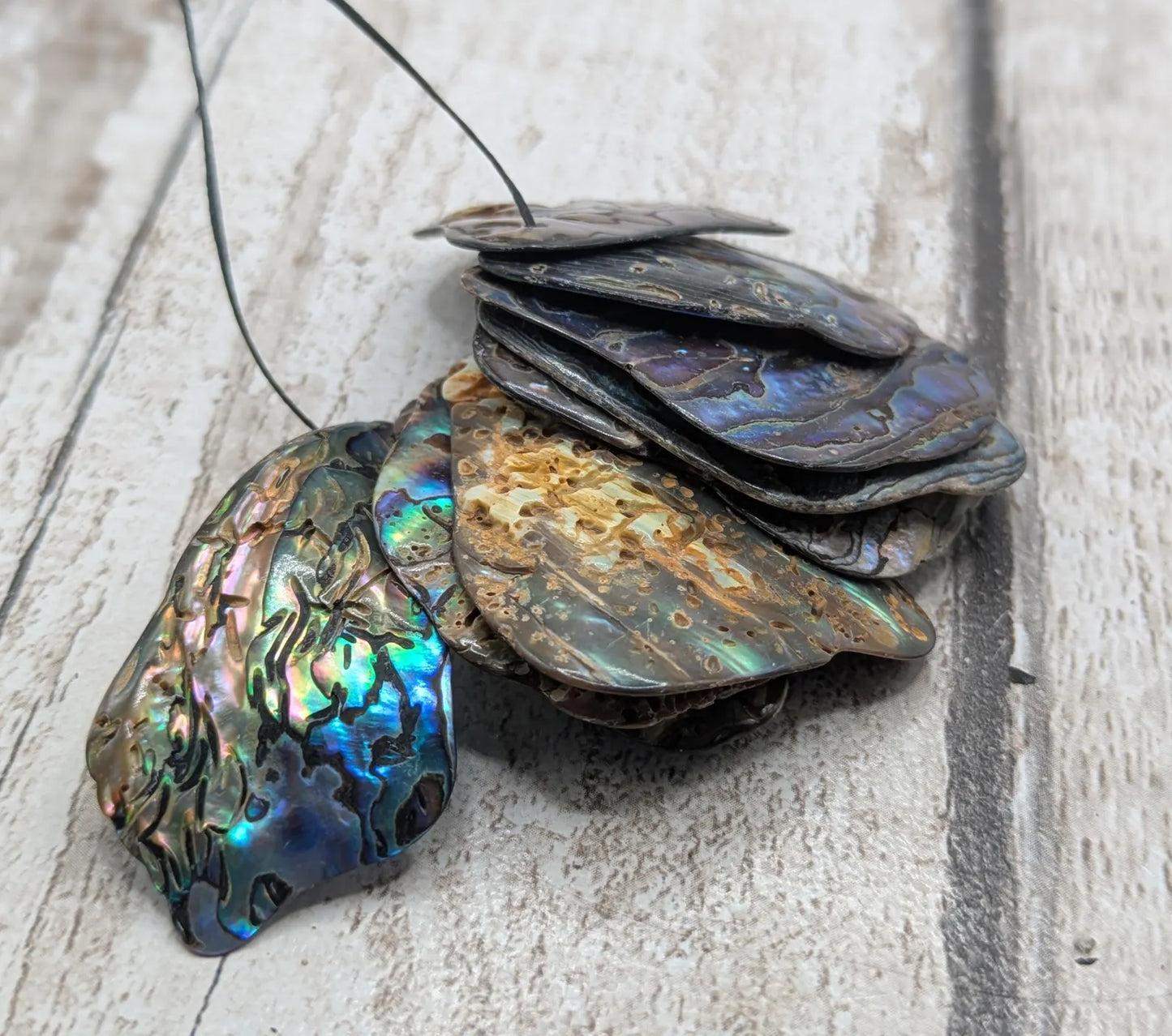 10 Rainbow NZ Pāua Shell Beads – Top-Drilled Natural Abalone for Jewelry Making & Art Projects.