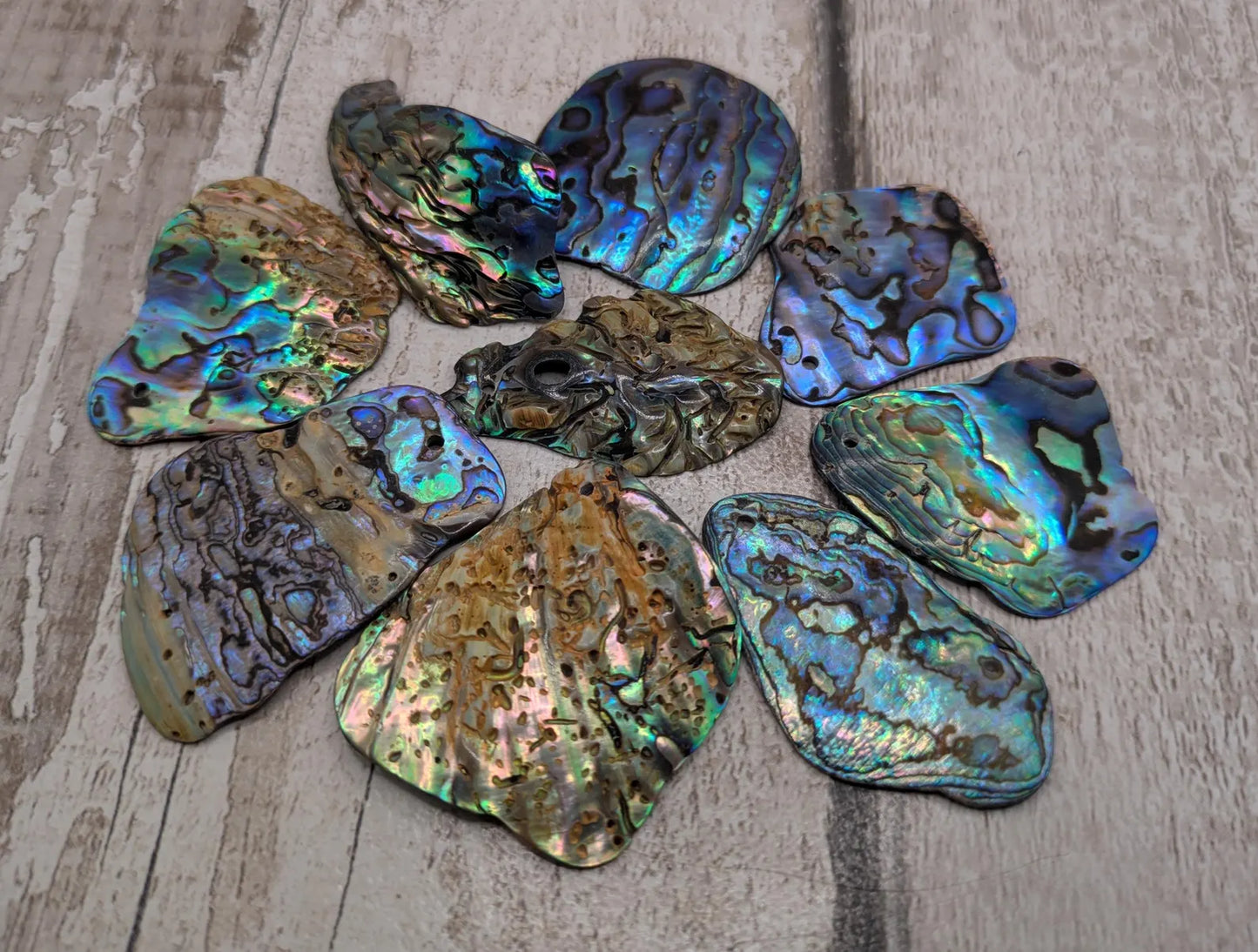 10 Rainbow NZ Pāua Shell Beads – Top-Drilled Natural Abalone for Jewelry Making & Art Projects.