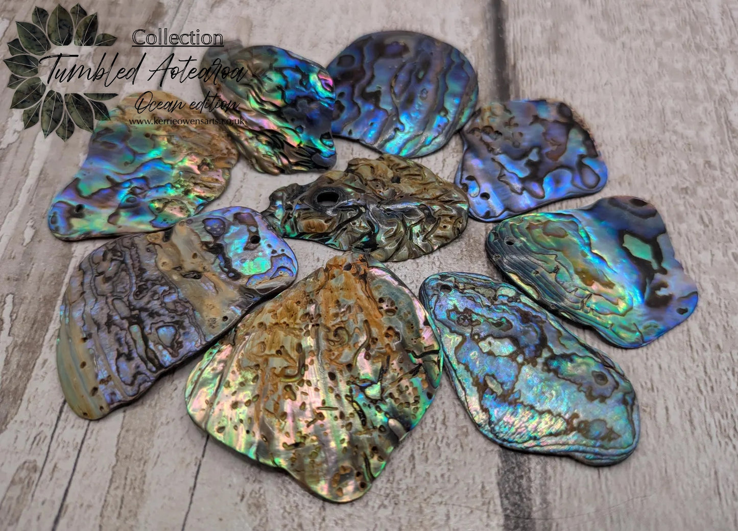10 Rainbow NZ Pāua Shell Beads – Top-Drilled Natural Abalone for Jewelry Making & Art Projects.