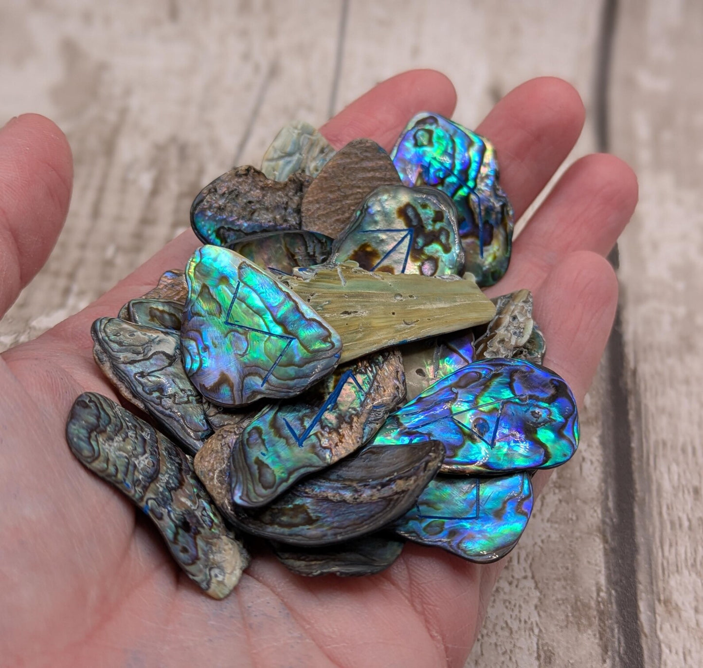 new Zealand rainbow pāua full elder furthark rune set.