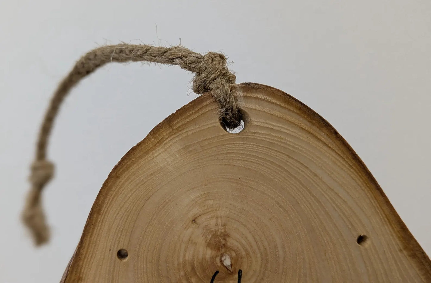 Ash wood hanging gilded bumble bee laser printed pendulum board.