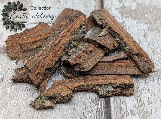Alder wood bark with moss spell, rituals or camp kindling.