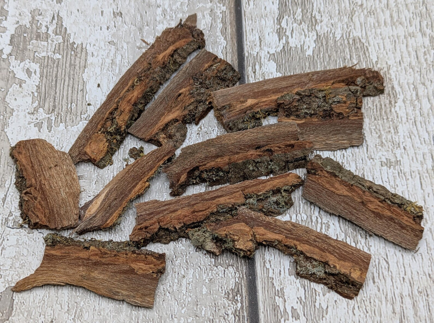Alder wood bark with moss spell, rituals or camp kindling.