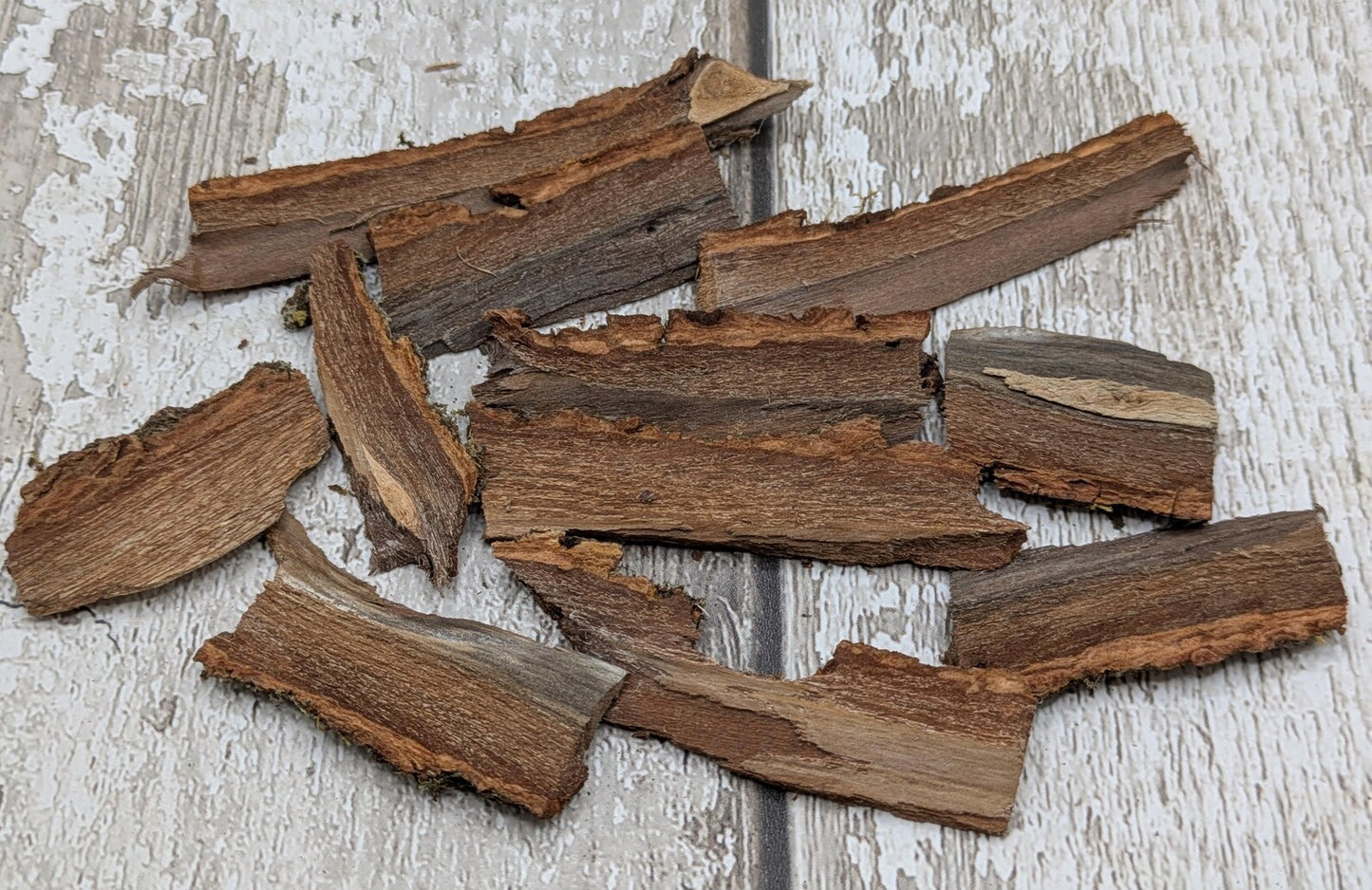 Alder wood bark with moss spell, rituals or camp kindling.