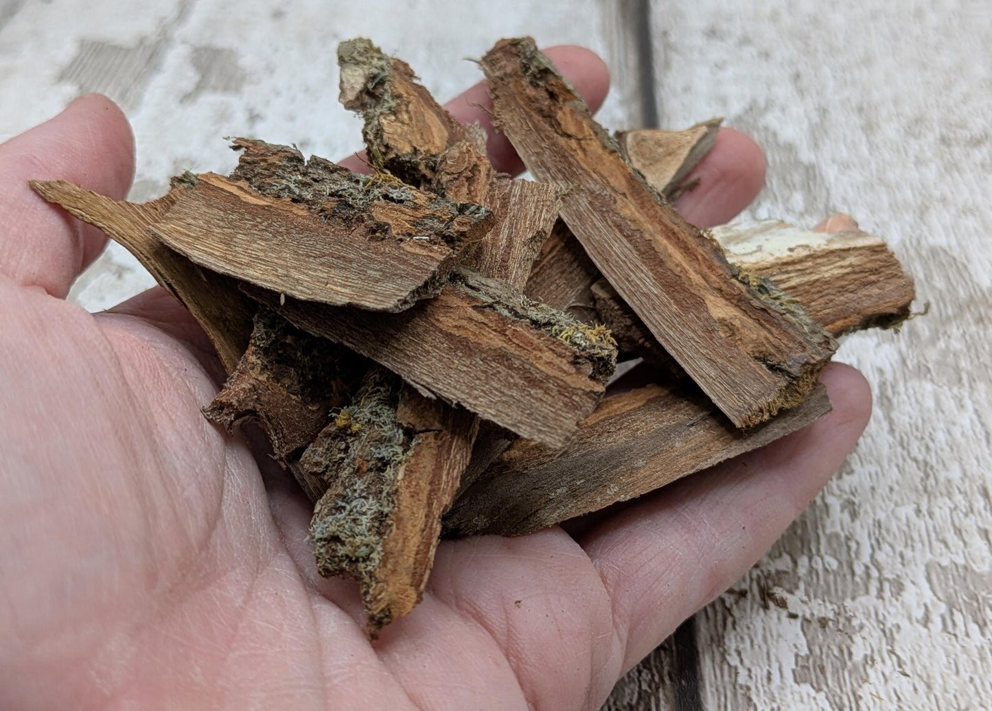 Alder wood bark with moss spell, rituals or camp kindling.