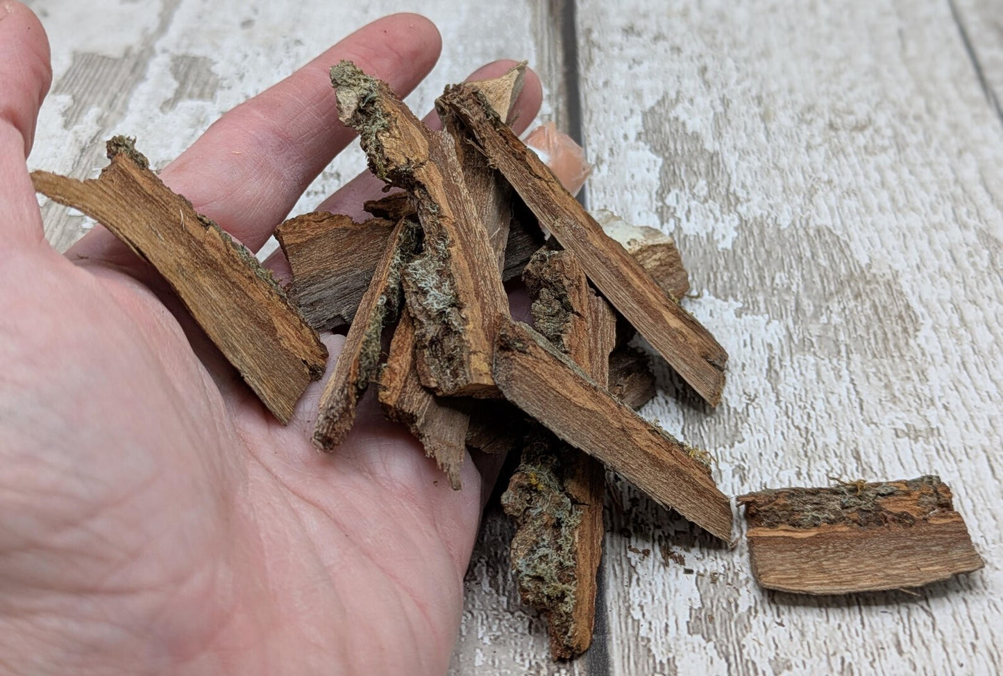 Alder wood bark with moss spell, rituals or camp kindling.