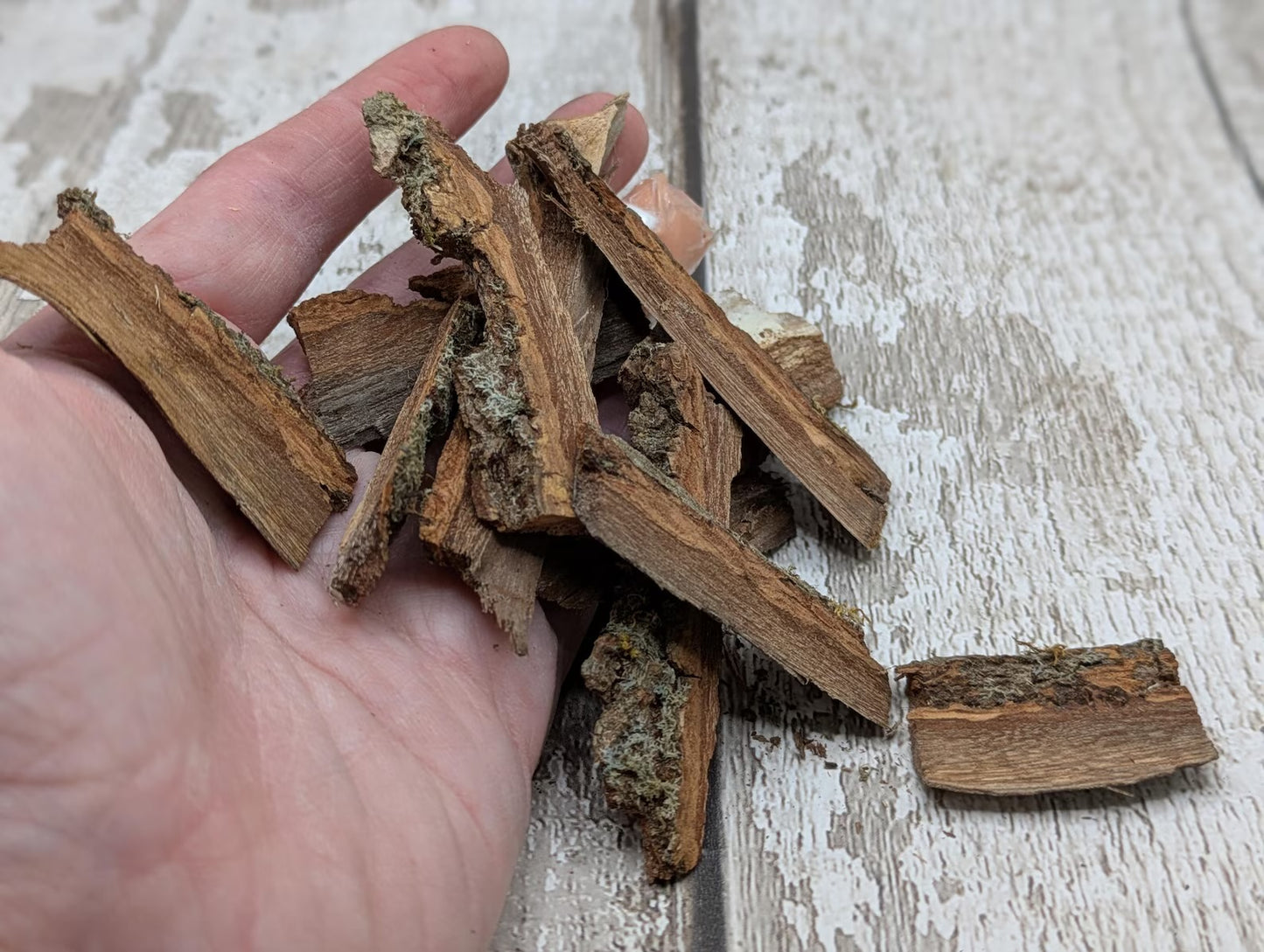 Alder wood bark with moss spell, rituals or camp kindling.