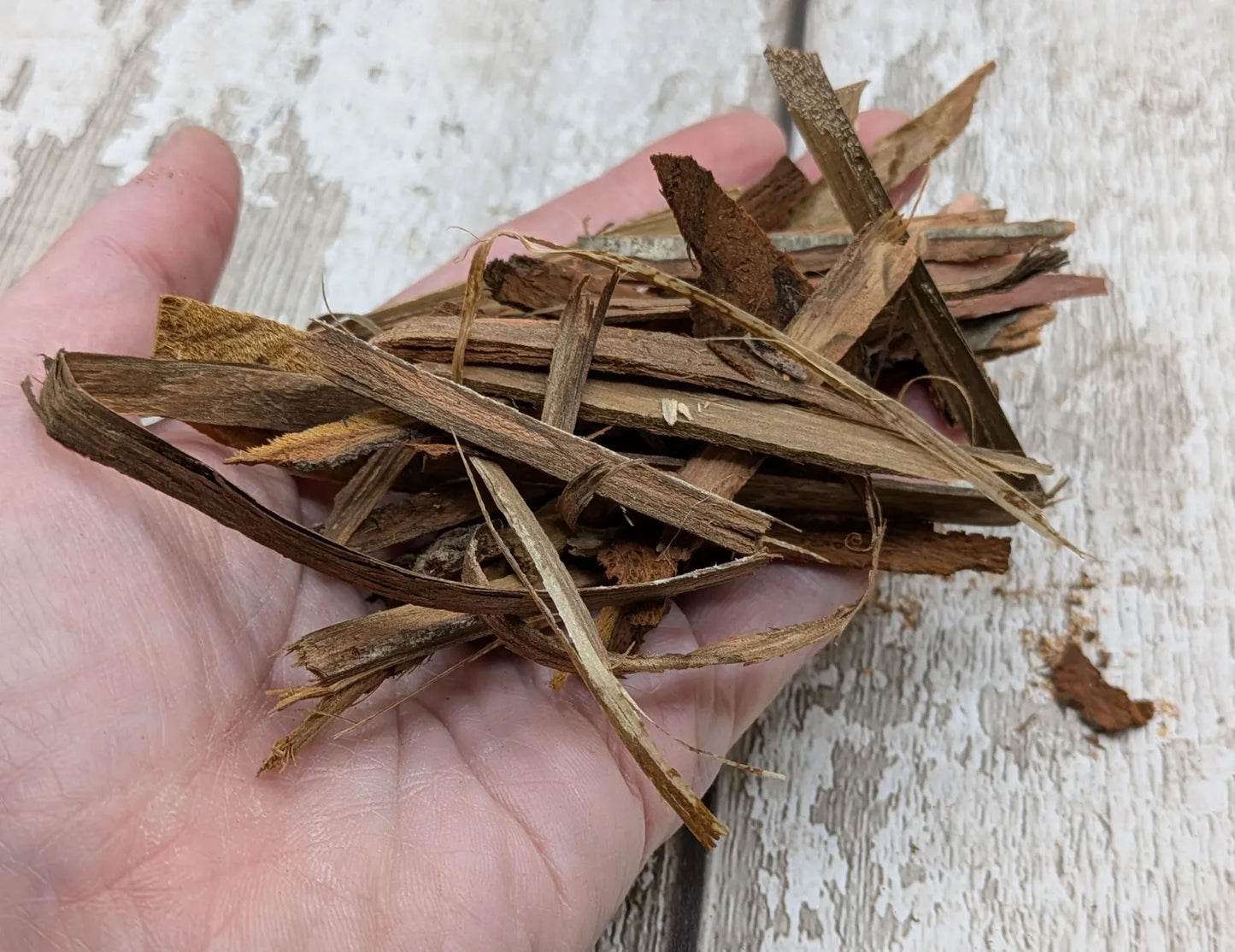 Mixed species wood bark for spell and ritual work or camping kindling.