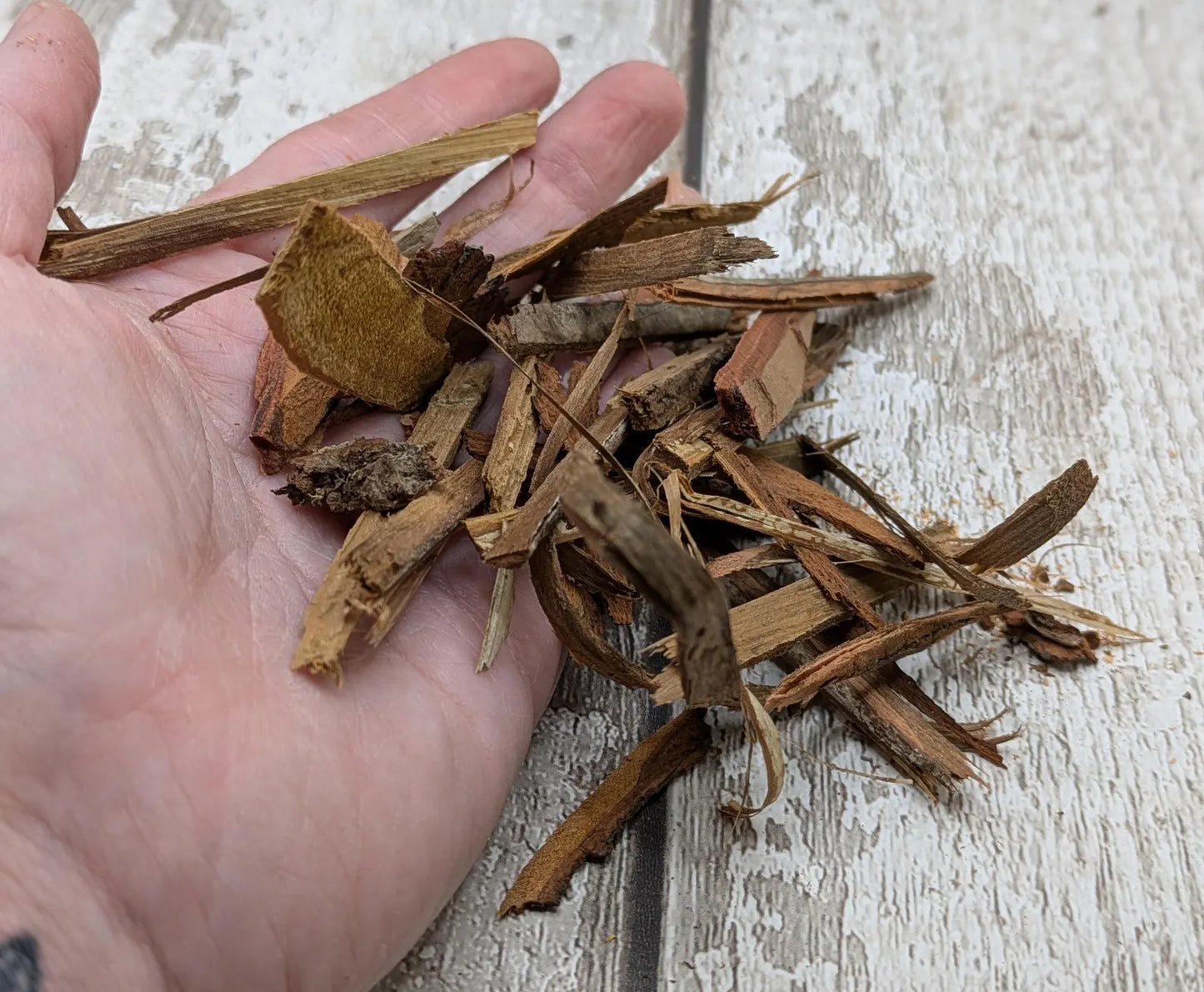 Mixed species wood bark for spell and ritual work or camping kindling.