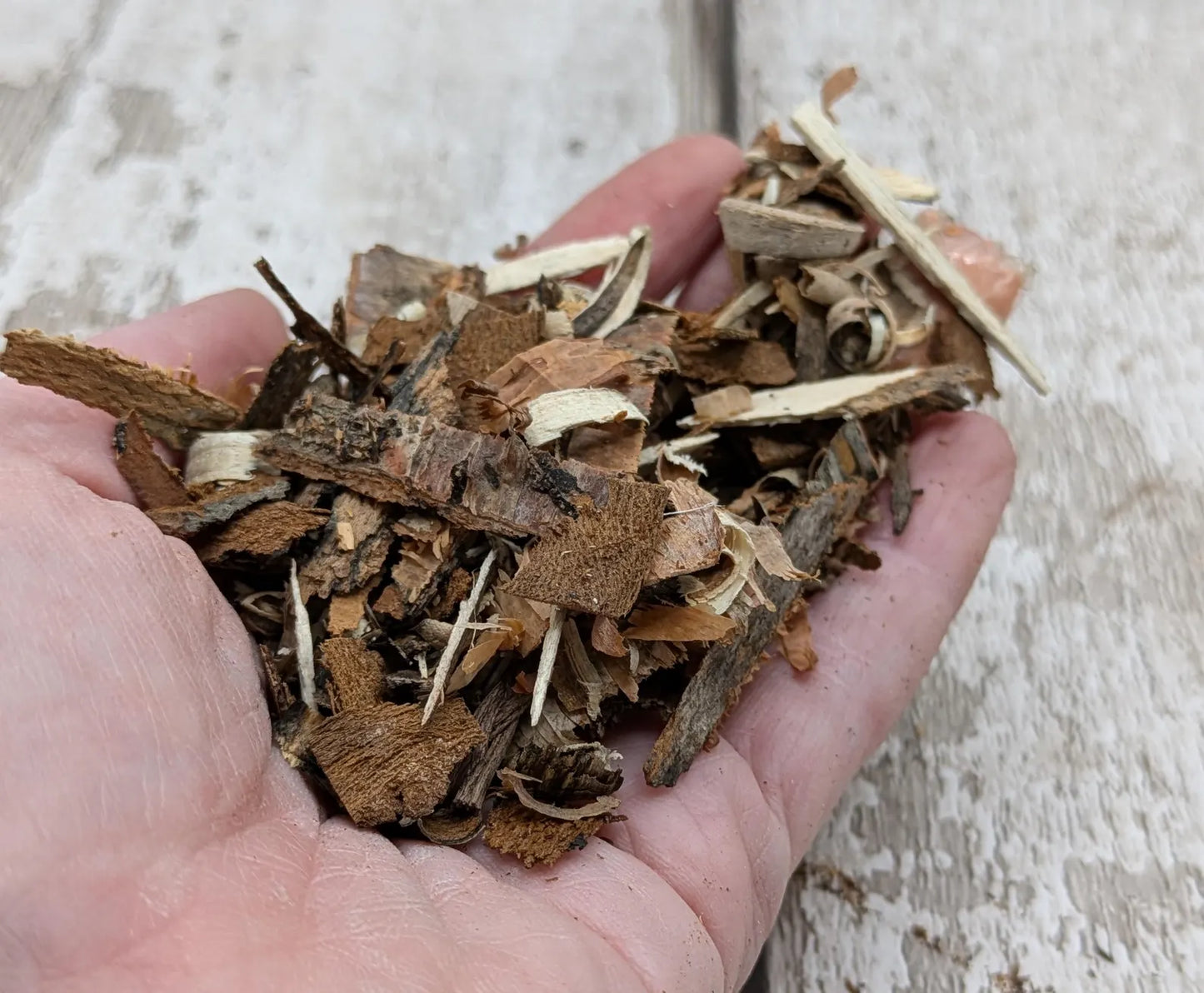 Birch bark pouch for spell or rituals or camp kindling.