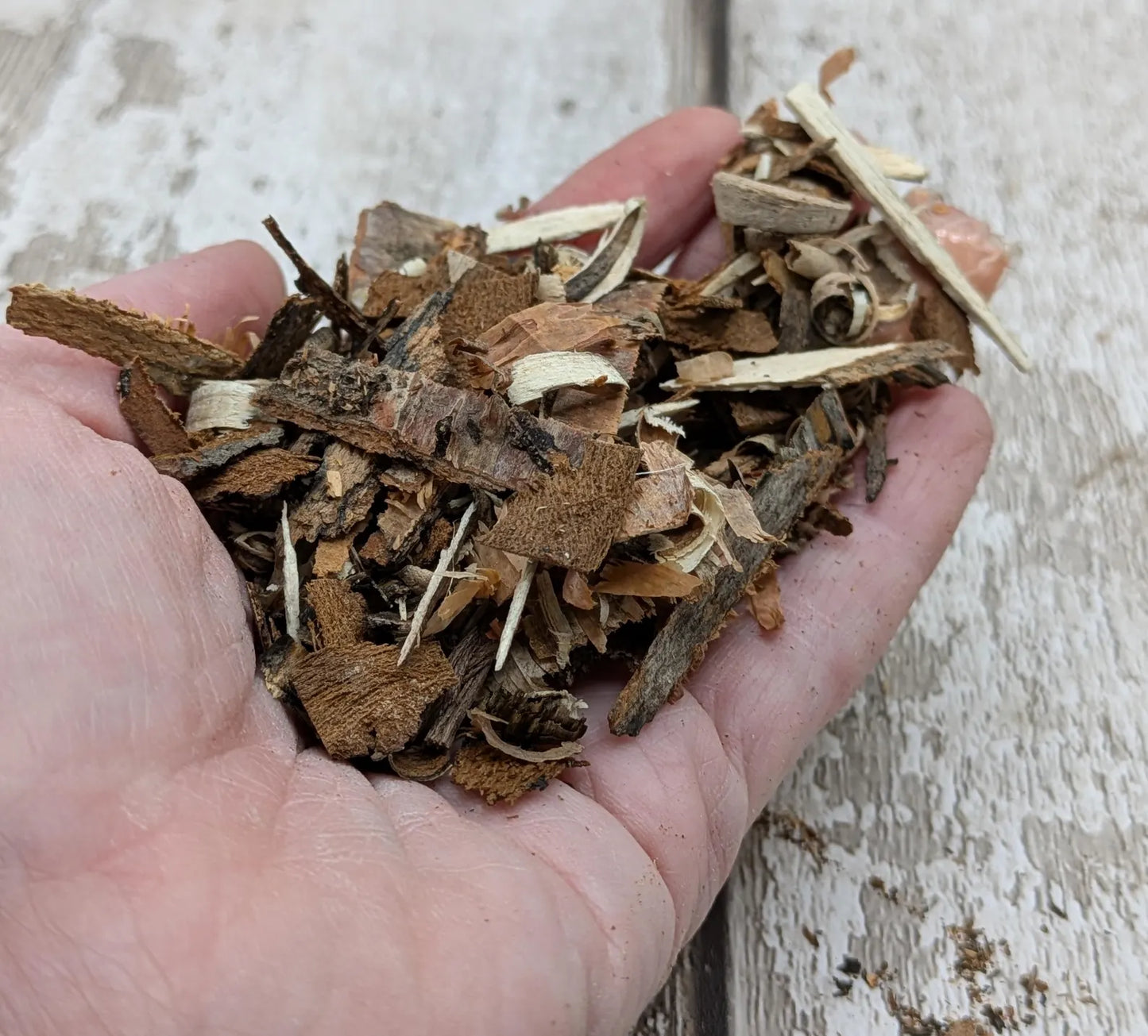 Birch bark pouch for spell or rituals or camp kindling.