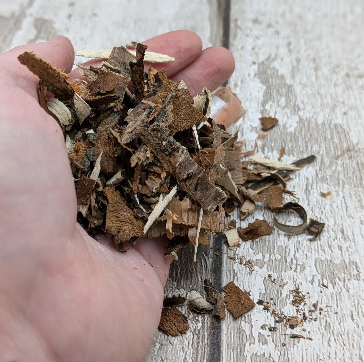 Birch bark pouch for spell or rituals or camp kindling.